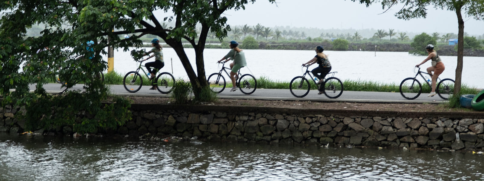 Kochi Island Cycling